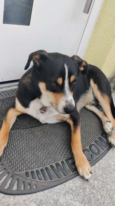 Doppelgänger gesucht !-Beitrag-Bild