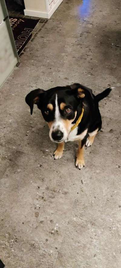 23. Handy Foto-Challenge-Beitrag-Bild