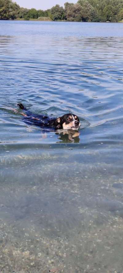 35. Handy Foto Challenge - Das nasse Element-Beitrag-Bild