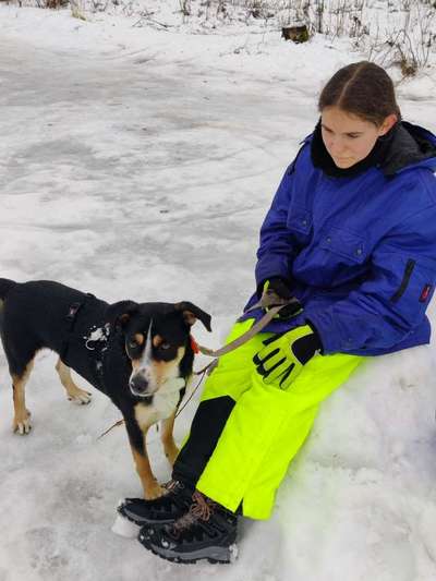 Handy-Foto-Challange Nr.9-Beitrag-Bild