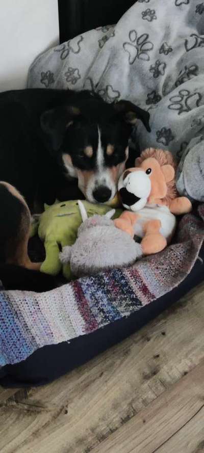 15. Handyfoto Challenge - Indoor Aktivitäten-Beitrag-Bild