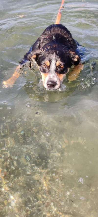 22. Handy Foto - Challenge-Beitrag-Bild