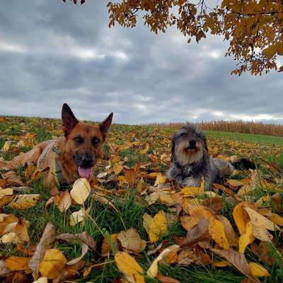 Stefanie's Profilbild