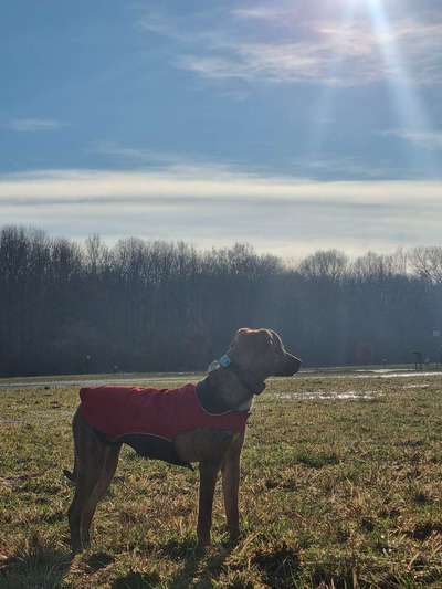 Wie groß waren eure welpen ?-Beitrag-Bild