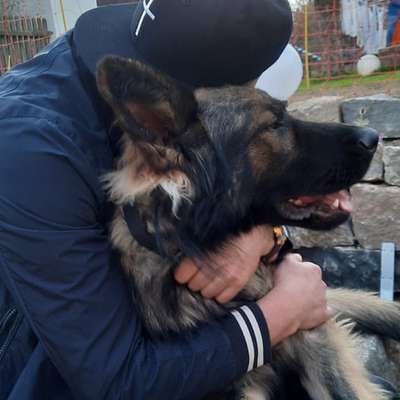 Hundetreffen-Treffen für die Großen!-Profilbild