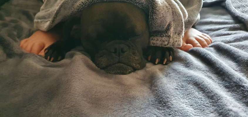 !!SELFIE MIT DEINEM LIEBLING!!-Beitrag-Bild