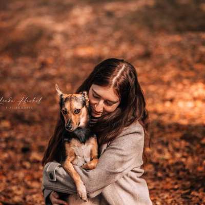 Hundetreffen-Herbst Fotowalk 🍁🐶-Bild
