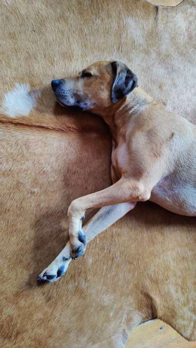 19. Farben  Fottochallenge :
Lieblingsfarbe-Beitrag-Bild