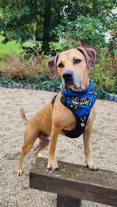 10. Farben Foto-Challenge ---- Blau-Beitrag-Bild