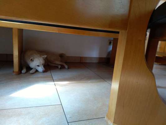 Schlafposition-Beitrag-Bild