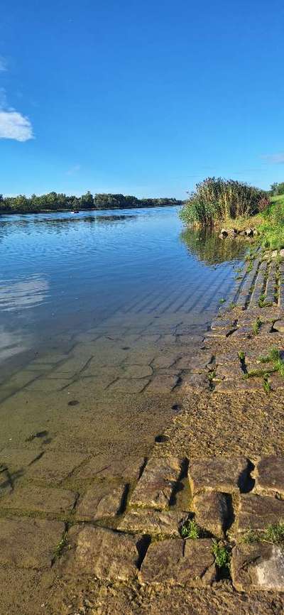 Hundetreffen-Hundefreundschaften und Spaziermoglichkeiten gesucht für Lenny-Bild