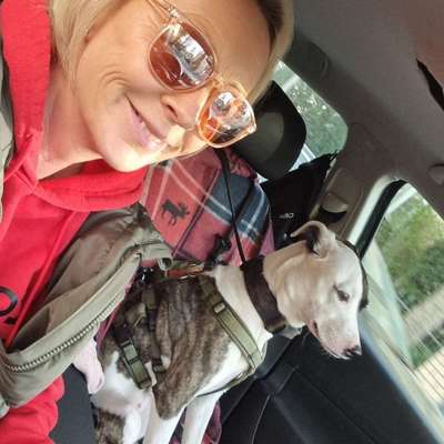 Hundetreffen-Gassi Runde, Spielstunde im Freilauf-Profilbild