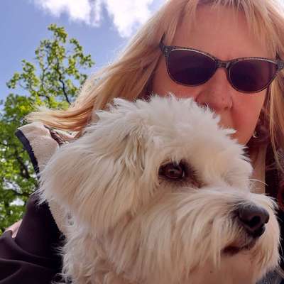 Hundetreffen-Spiel- und Gassirunde kleine Hunde