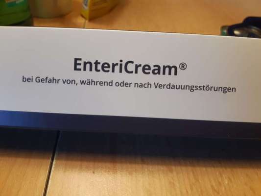 Durchfall beim Hund-Beitrag-Bild