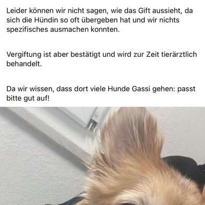 Giftköder-Giftköder-Bild