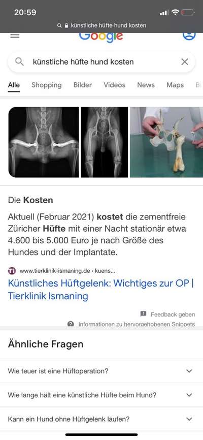 Arthrose-Beitrag-Bild