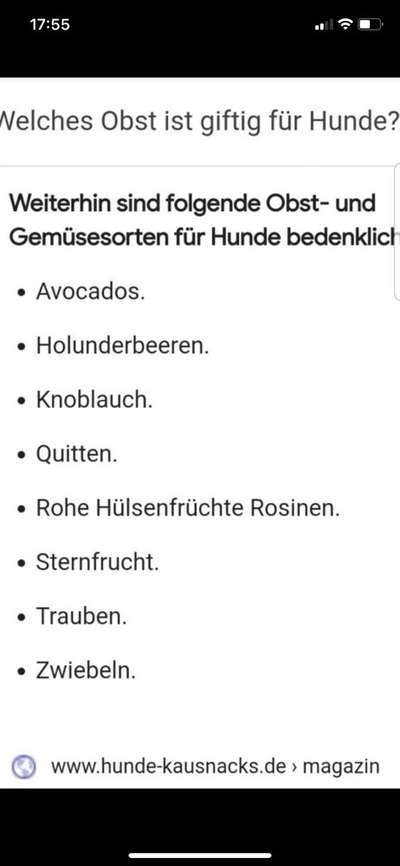 ZECK SNACK-Beitrag-Bild