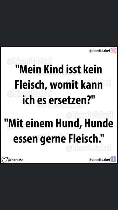 Hunde Memes-Beitrag-Bild