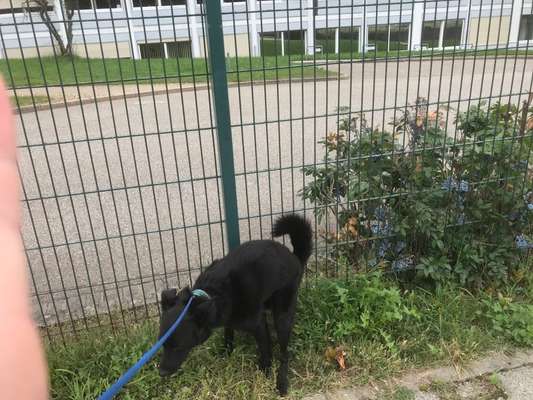 Fotochallenge No. 5-Beitrag-Bild