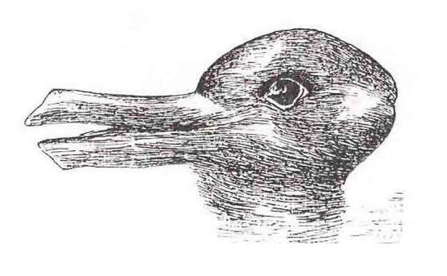 Rütter und die Wasserflasche / aversive Methoden-Beitrag-Bild