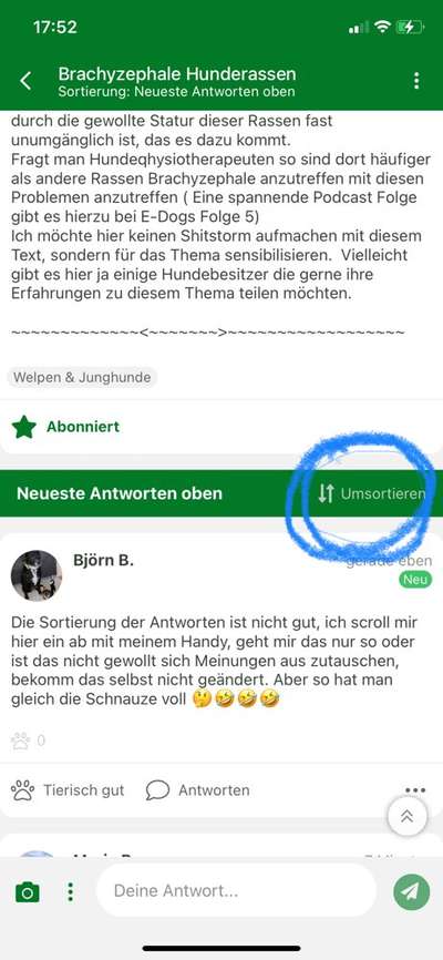 Brachycephale Hunderassen-Beitrag-Bild