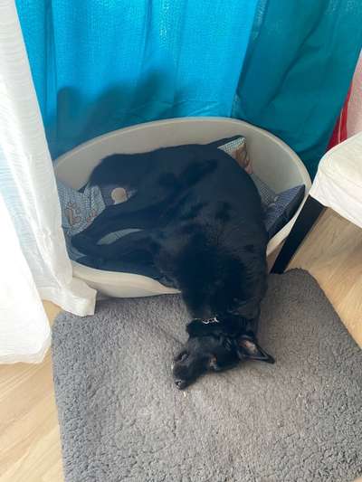 Die unbequemsten und lustigsten Schlafpositionen-Beitrag-Bild