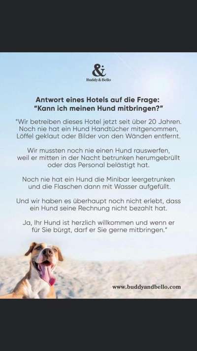 Hunde Memes-Beitrag-Bild