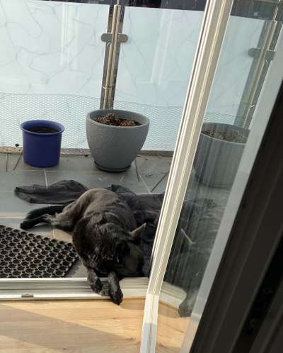 Die unbequemsten und lustigsten Schlafpositionen-Beitrag-Bild