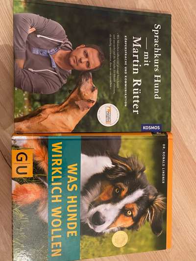 Hunde-Fachliteratur-Beitrag-Bild