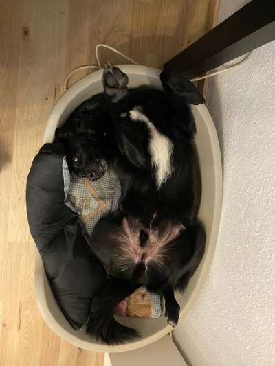 Die unbequemsten und lustigsten Schlafpositionen-Beitrag-Bild