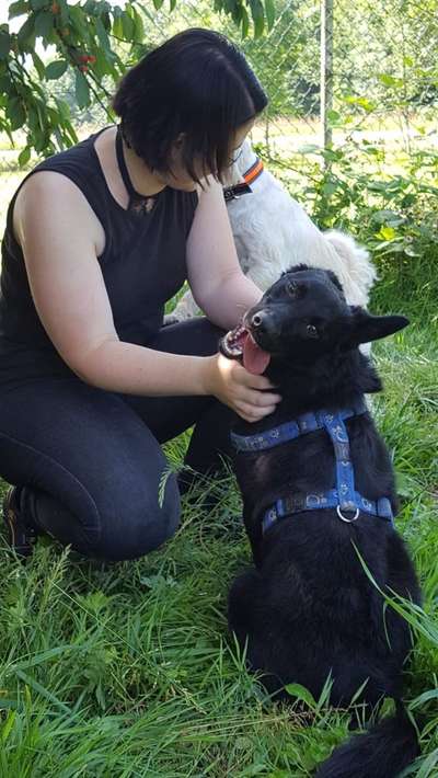 Fotochallange Nr. 6 Die irrsten Blicke-Beitrag-Bild