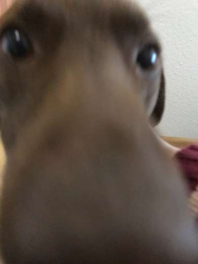 Fotochallange Nr. 6 Die irrsten Blicke-Beitrag-Bild