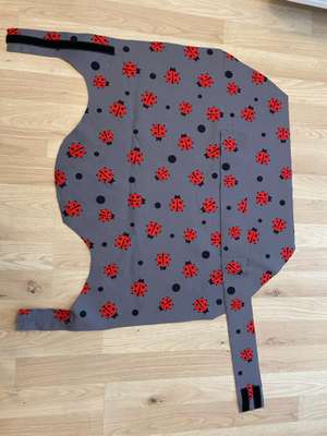 Bastelstunde für den Vierbeiner-Beitrag-Bild