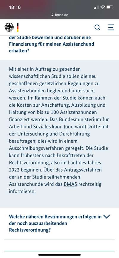 Assistenzhund-Beitrag-Bild