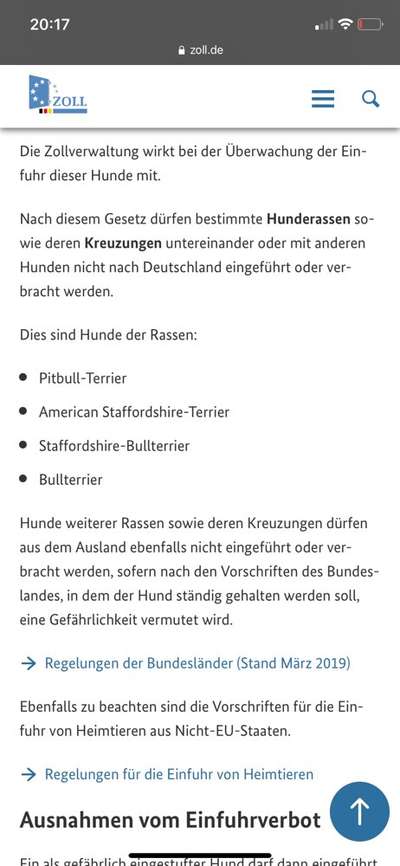 Brachycephale Hunderassen-Beitrag-Bild