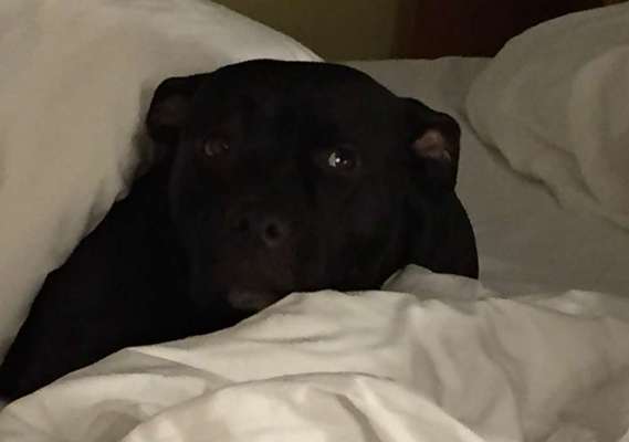 Die unbequemsten und lustigsten Schlafpositionen-Beitrag-Bild