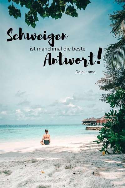 Floh und Zeckenmittel-Beitrag-Bild