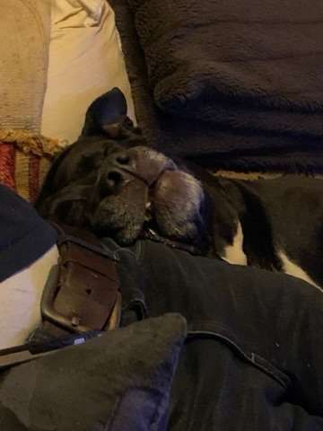 Die unbequemsten und lustigsten Schlafpositionen-Beitrag-Bild