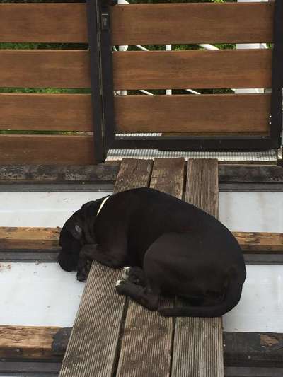 Die unbequemsten und lustigsten Schlafpositionen-Beitrag-Bild