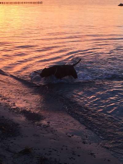 18. Farben Fotochallenge: Sonnenuntergang-Beitrag-Bild