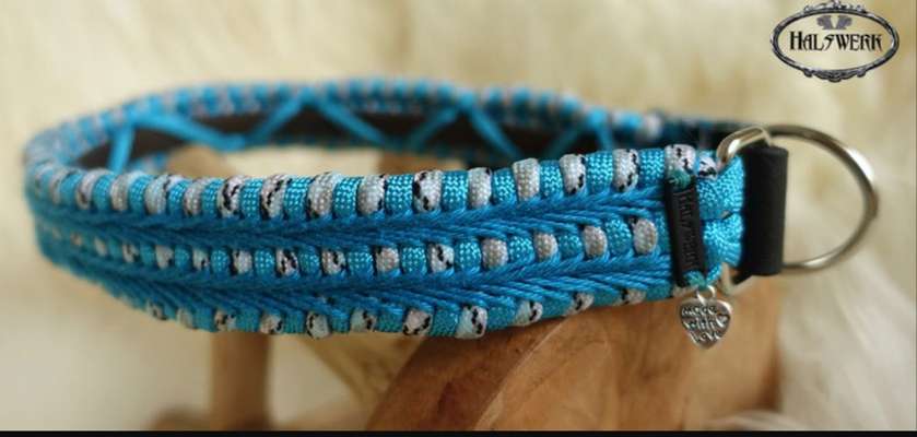 Floh und Zeckenmittel-Beitrag-Bild