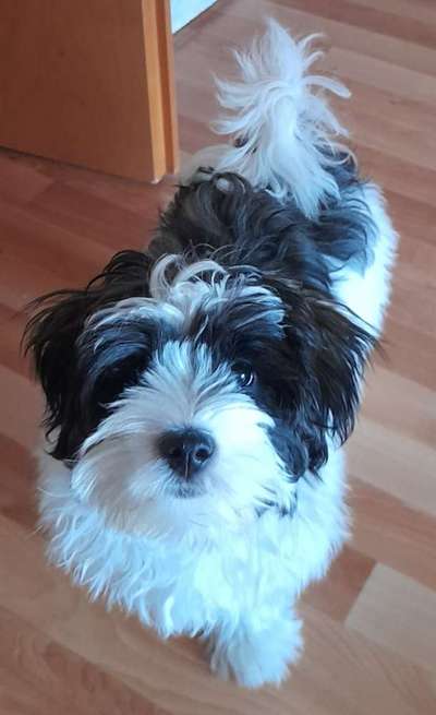 Bettel Blicke-Beitrag-Bild