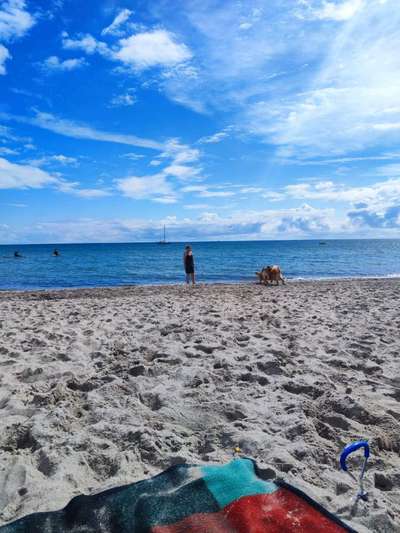 Hundeauslaufgebiet-Dahmer Strandspa-Bild