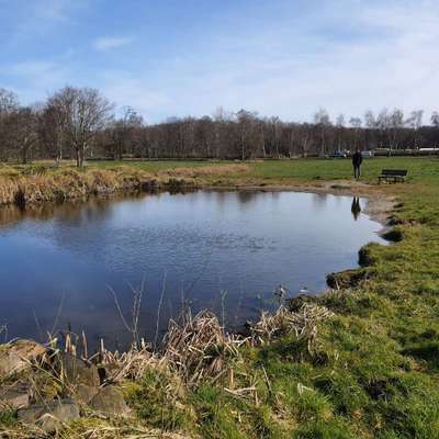 Hundeauslaufgebiet-Karlsminde Hundeplatz-Bild