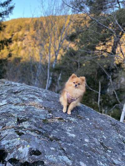 30. Collagen Challenge - Wege/Straßen-Beitrag-Bild