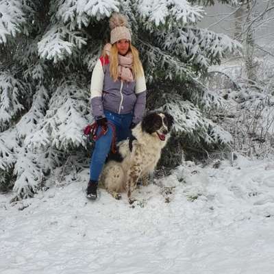 Hundetreffen-Sozialisierung-Profilbild