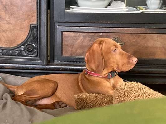 Zeigt eure Portraits-Beitrag-Bild