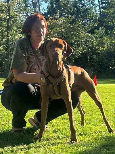 Welpen Bilder !-Beitrag-Bild