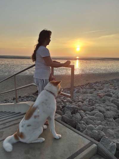 Fotochallenge Nr.100 Urlaubsimpressionen-Beitrag-Bild