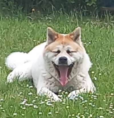 Handyfoto challenge Nr. 13: Waschlappen raus!-Beitrag-Bild